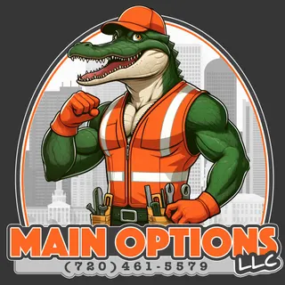 Main Options LLC