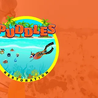 PUDDLES Restoration