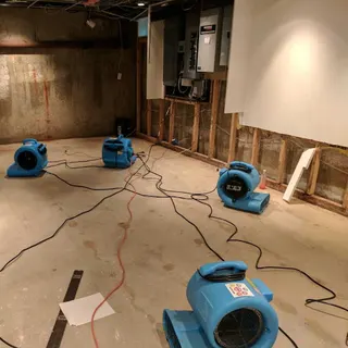 Anclote Restoration
