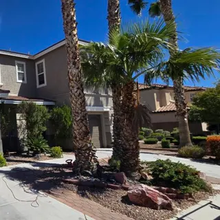 New Visions Painters LLC