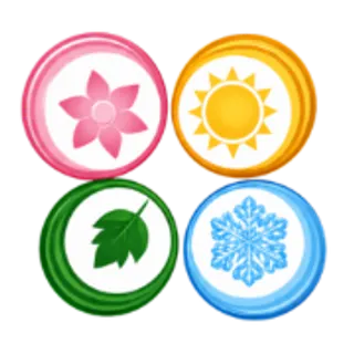 The Four Season Painting Inc