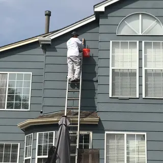 Fresh Look Painting