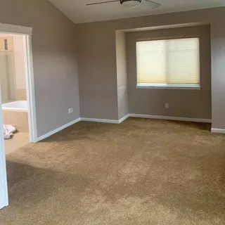 CW Paint & Stain