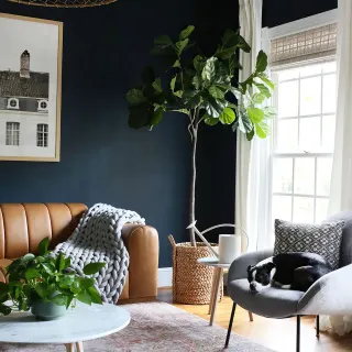 Expert Painting & Construction LLC