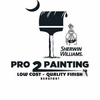 Pro 2 Painting