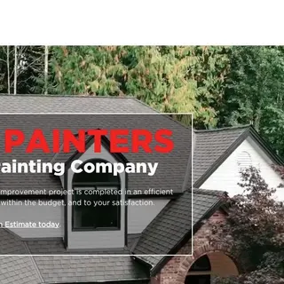 EA Pro Painters