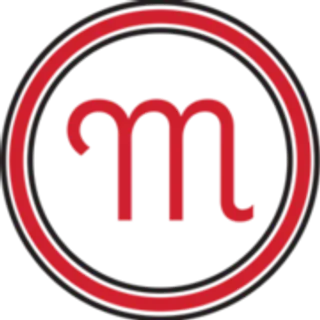 Mendoza painting llc
