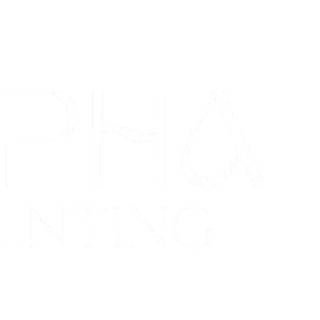 Alpha Painting Services
