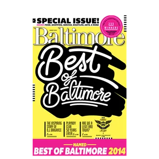 The Baltimore Handyman Company