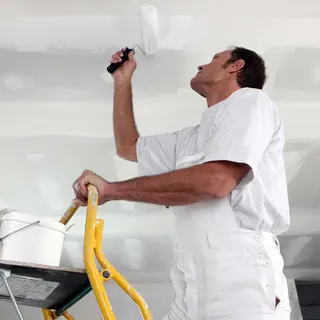 Mr. Mike's Professional Painting Services