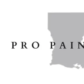 Pro Painters LA