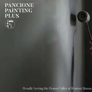 Pancione Painting Plus LLC