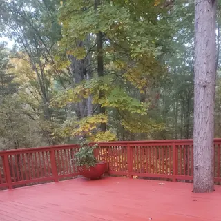Trips' Pressure Washing Painting and Deck Staining
