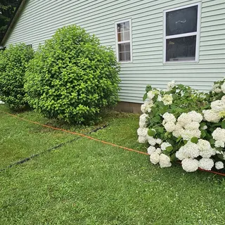 Express Paint and Pressure Washing