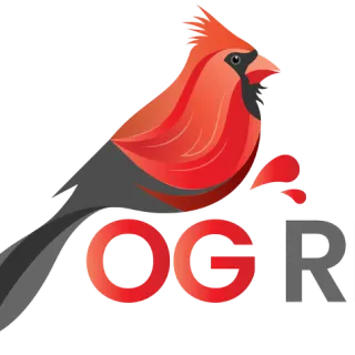 OG Renovations LLC Painting and Drywall service