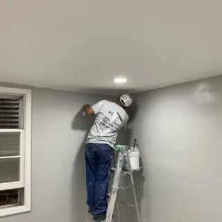 SRPro Painting