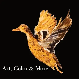 Art, Color and More