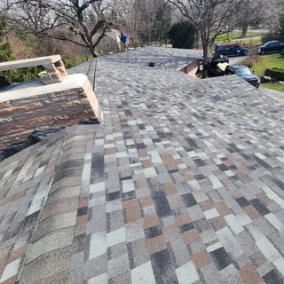 Juno Construction