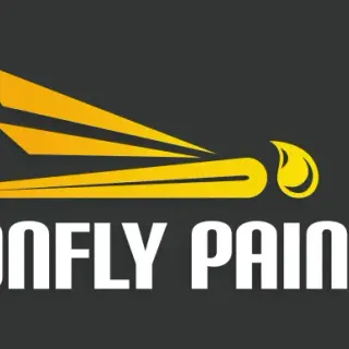 DragonFly Paint LLC