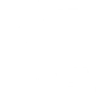 Lenny Martin Painting LLC